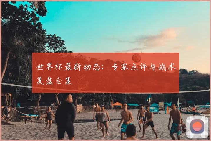 世界杯最新动态:专家点评与战术复盘合集