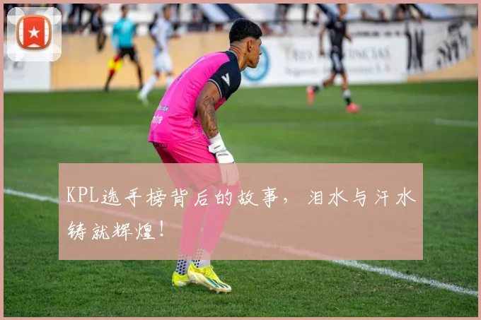 KPL选手榜背后的故事,泪水与汗水铸就辉煌!