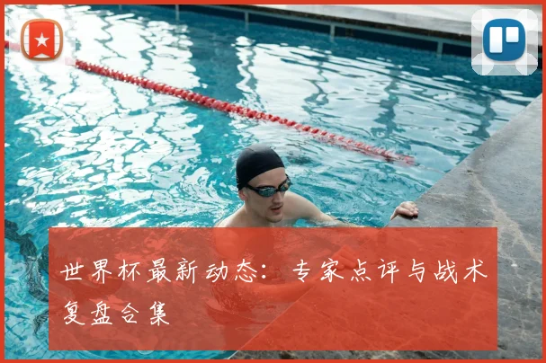 世界杯最新动态：专家点评与战术复盘合集